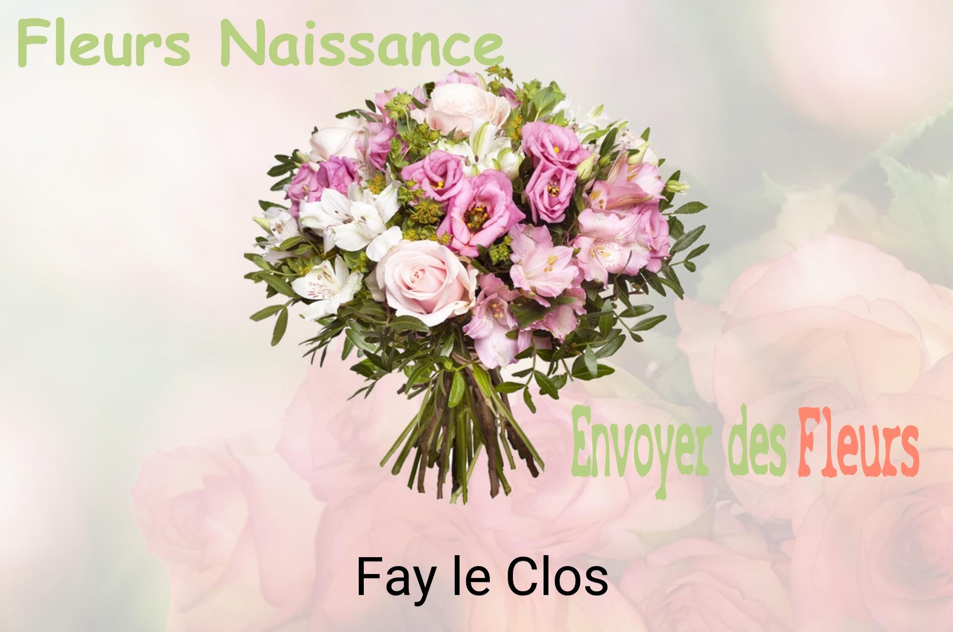 Bouquet de fleurs de naissance livré à Fay-le-Clos